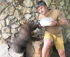 Крымская медведица Машка любит фотографироваться, уважает сиесту и не отказывает себе в сладеньком