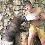 Крымская медведица Машка любит фотографироваться, уважает сиесту и не отказывает себе в сладеньком