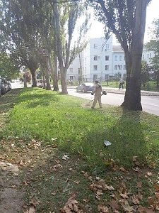 Коммунальщики Симферополя с начала недели выкосили 30 тыс квадратных метров сорняков