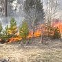В урочище «Уч-Кош» над Ялтой горит полтора гектара лесной подстилки