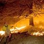 Пожар над Ялтой распространился на 15 гектаров