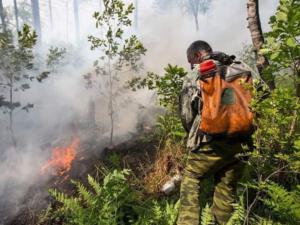 К концу дня обстановка на пожаре должна быть стабилизирована, — замглавы администрации Ялты