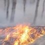 Ещё на 4 гектара распространился пожар в урочище «Уч-Кош»