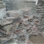 Пограничники установили более 700 кг нелегальной рыбы в Черноморском