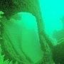 В районе устья реки Бельбек обнаружили затонувшее судно огромных размеров