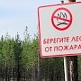 В Крыму сохраняется наивысший класс пожарной опасности