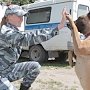 Полицейских кинологов приглашают на службу в Керчи