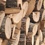 Общественники обнаружили факты незаконной продажи древесины