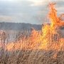 В Крыму горела сухая трава