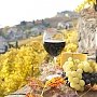 Фестиваль вина и гастрономии «Ноябрьфест» признали лучшим