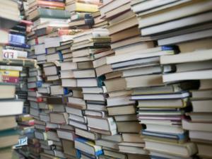 Симферопольским первоклассникам вручат 5,5 тысяч книг в рамках проекта «Моя первая библиотека»