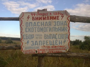 Разработан порядок ликвидации неиспользуемых скотомогильников в Крыму, — Госкомветеринарии