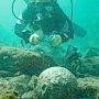 Уникальную для России магистерскую программу «Морская археология» запустят в СевГУ
