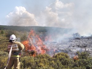 Крымские спасатели продолжают ликвидируют возгорания в экосистемах полуострова