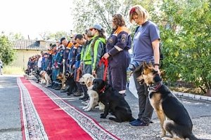 В Волгоградской области стартовали региональные сертификационные испытания кинологических расчётов МЧС России