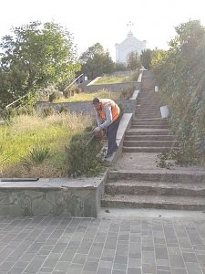 За три дня симферопольские коммунальщики скосили траву на площади 28 тыс кв м