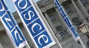 Крымская делегация: «Ситуация на заседании ОБСЕ напомнила «свинцовые советские годы»