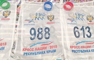 В субботу в столице Крыма пройдёт Всероссийский день бега «Кросс нации»