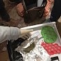 Крымские пограничники обнаружили крупную партию наркотических средств