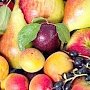 Урожай фруктов в Крыму составит более 150 тыс. тонн