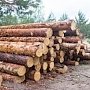 В Крыму произойдёт аукцион по продаже почти 2,5 кубометров леса