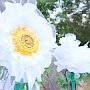 Благотворительная акция «Белый цветок» произойдёт в Евпатории 29 сентября