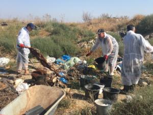 Ветеринарная служба Бахчисарайского района ликвидировала свалку биологических отходов