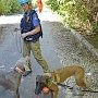 Собаки-спасаки искали в Крыму людей под завалами