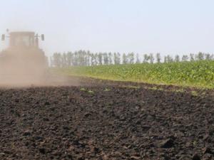 В Джанкойском районе запланировали посеять озимых зерновых на площади почти 45 тысяч га