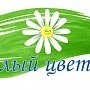 В Крыму в рамках акции «Белый цветок» собрали 2,5 млн рублей