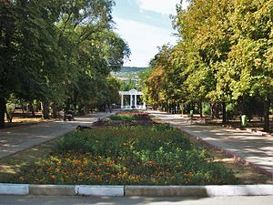 В сквере около 13-й феодосийской школы сохранят зелёную зону