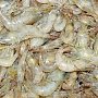 12 килограммов креветки без маркировки нашли в Ялте