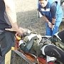 Крымские спасатели помогли парапланеристу