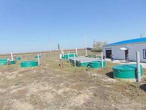 Начало реализации инициативного проекта «Использование очищенных сточных вод Республики Крым для целей орошения»