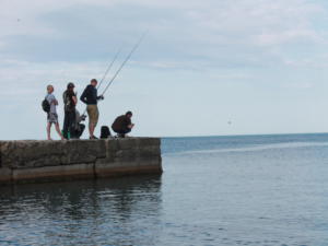 Запрет на ловлю рыбы в акватории Ялтинского порта вступит в силу 1 ноября