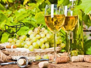 Фестиваль вина и гастрономии #Ноябрьфест откроется 2 октября