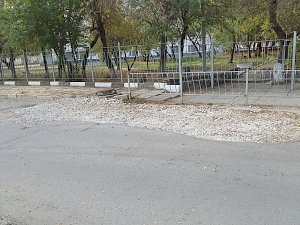 Эксперты ОНФ установили опасные пешеходные переходы поблизости от симферопольских школ