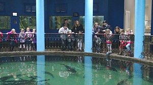 Полицейские организовали для детей из подшефного социального приюта экскурсию в Севастопольский морской аквариум-музей
