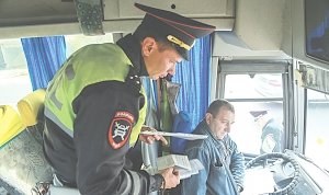 Бегом за маршруткой: как работают крымские перевозчики