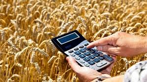 Сельхозтоваропроизводители Крыма увеличат объёмы продаж своей продукции