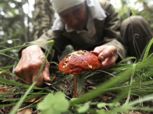 Крымчанка со своим малолетним сыном потерялись в горной местности во время сбора грибов