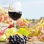 На фестиваль вина и гастрономии #Ноябрьфест зарегистрировались более 6 тыс. гостей
