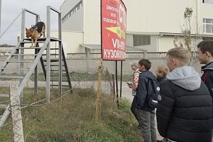 Севастопольские школьники познакомились с работой «четвероногих помощников» полиции