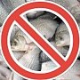 В акватории Ялтинского порта действует запрет на ловлю рыбы