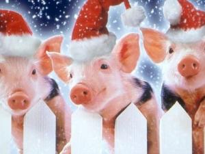 Ялтинцы получат возможность посоревноваться в изображении символа Года свиньи