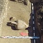Археологи сказали об уникальных находках на раскопках при строительстве Крымского моста