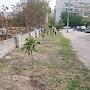 Высадили деревья вместо стихийной свалки вдоль детского садика