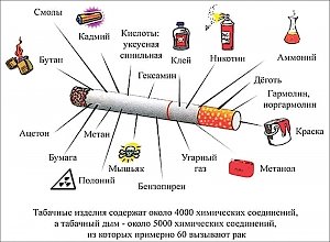 Как помогают бросить курить по телефону и сколько можно заработать, отказавшись от сигарет