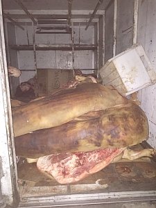 Керченские ветеринары уничтожили почти 200 кг опасного мяса