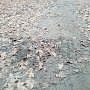 Пешеходная дорожка в Аршинцево — целиком в грязи